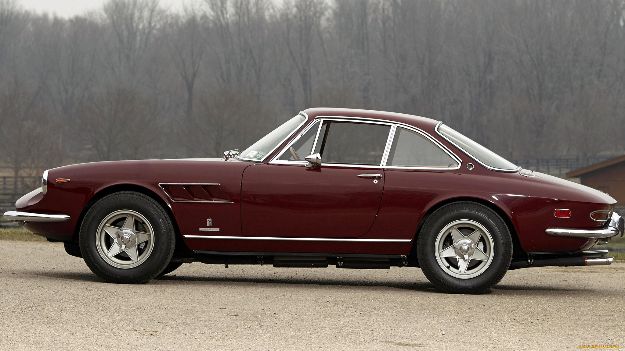 ferrari, 365, , s, p, a, , , 
